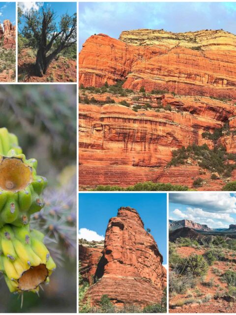 Red Rock Country USA-Arizona-Sedona-Red-Rock-State-Park
